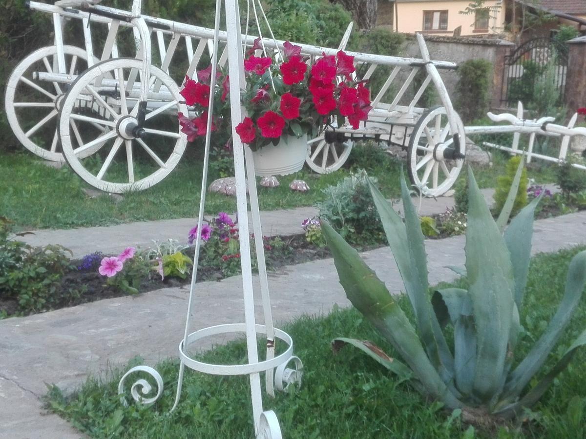 Casa De Vacanta Silvia Vărmaga Dış mekan fotoğraf