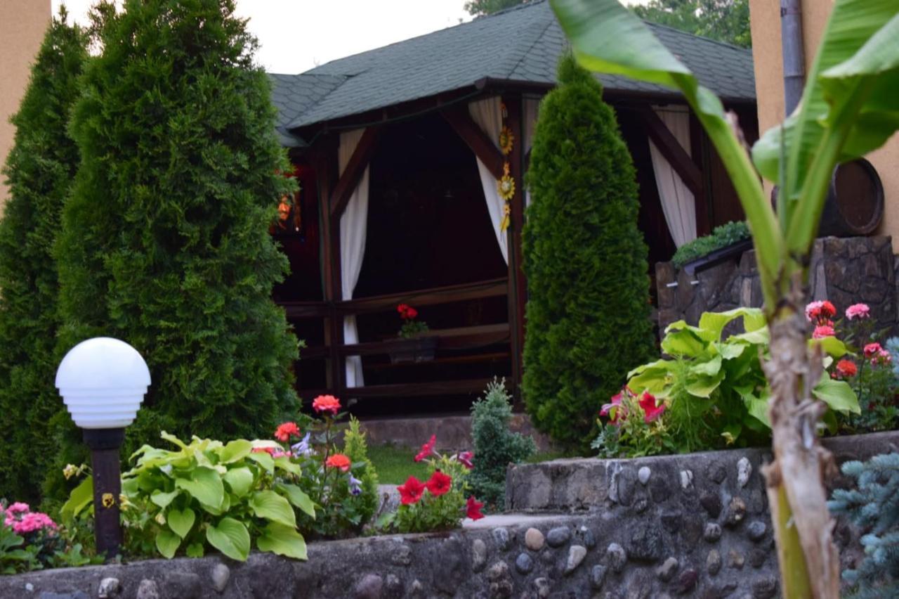 Casa De Vacanta Silvia Vărmaga Dış mekan fotoğraf